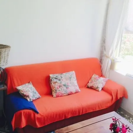 La Terrasse Du Mole * Sète